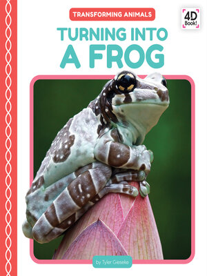 cover image of Turning Into a Frog